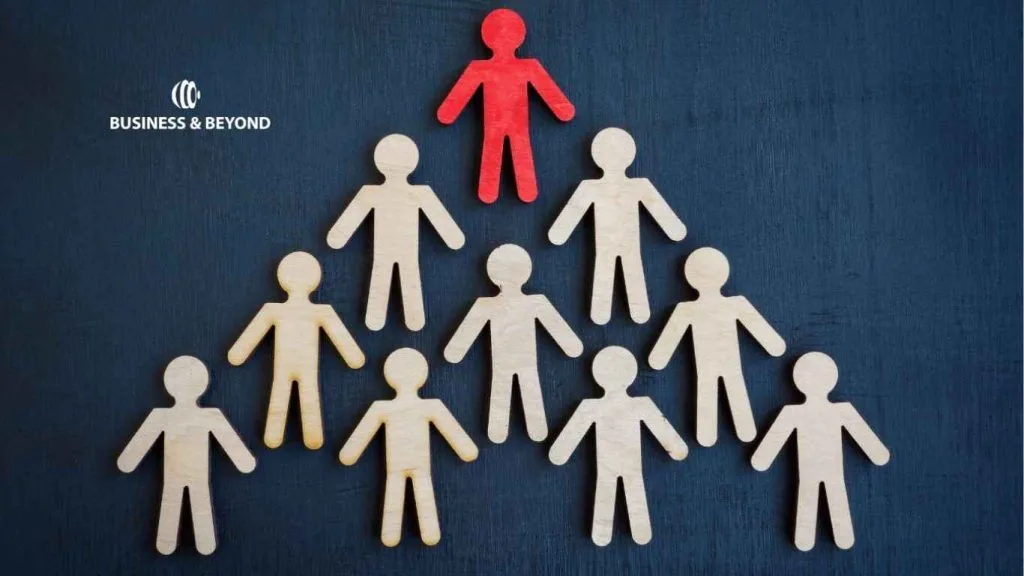 Parent-Subsidiary Company Structure